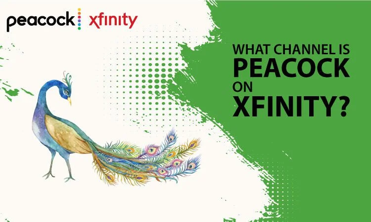 What Channel Is Peacock on Xfinity?