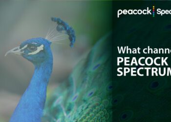 What channel is Peacock on Spectrum?