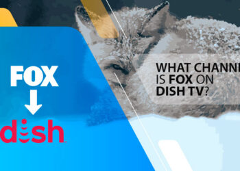 What Channel is FOX on Dish Network?