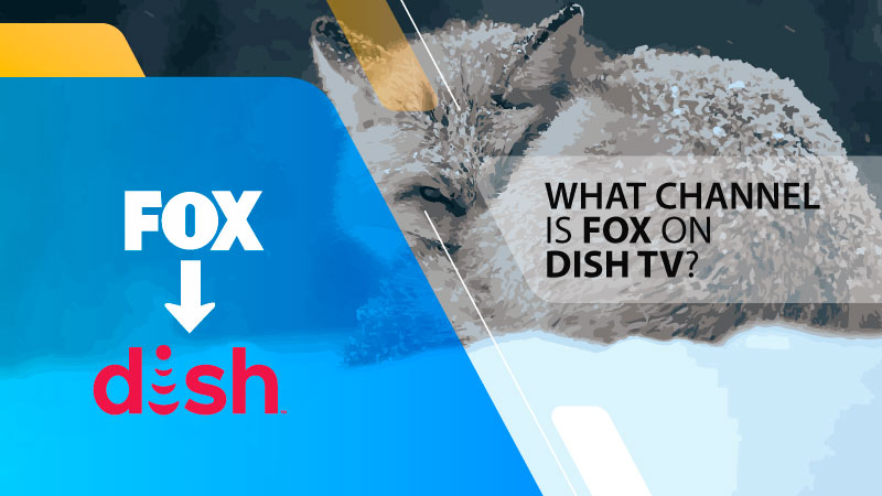 What Channel Is FOX On Dish Network ISP Deal