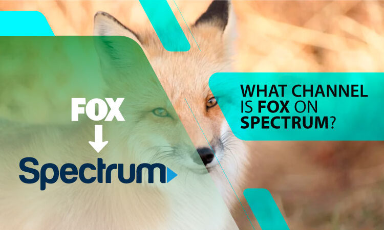 What Channel Is Fox On Spectrum?