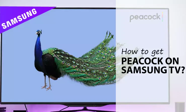 How To Get Peacock On Samsung TV